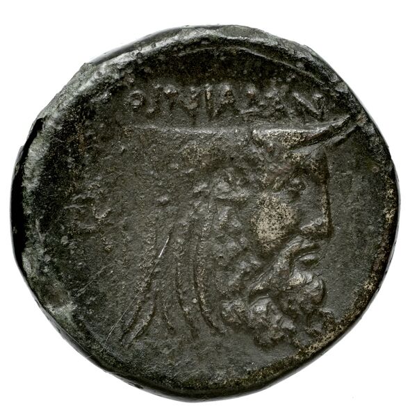 Oeniadae BMC Oeniadae 6-14, реверс, bnf-iris