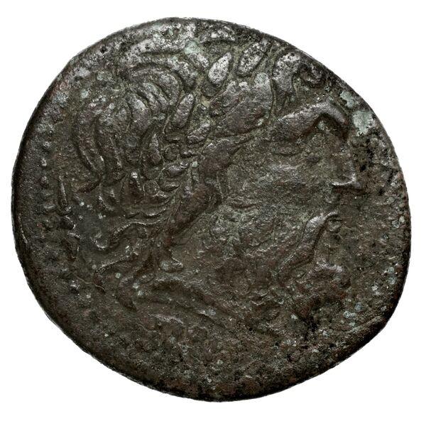 Oeniadae BMC Oeniadae 6-14, аверс, bnf-iris