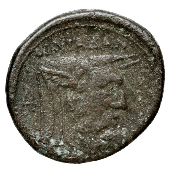 Oeniadae BMC Oeniadae 6-14, реверс, bnf-iris