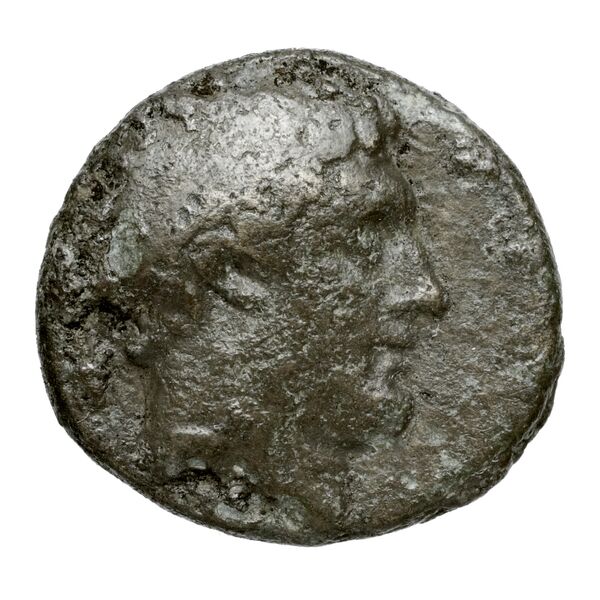 Argos Amphilochicum BMC Argos Amphilochicum 1-7, аверс, bnf-iris