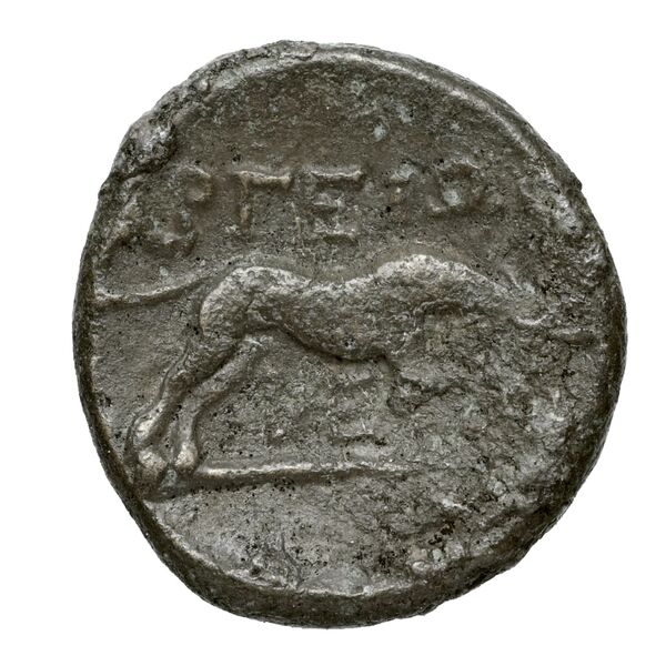 Argos Amphilochicum BMC Argos Amphilochicum 1-7, реверс, bnf-iris