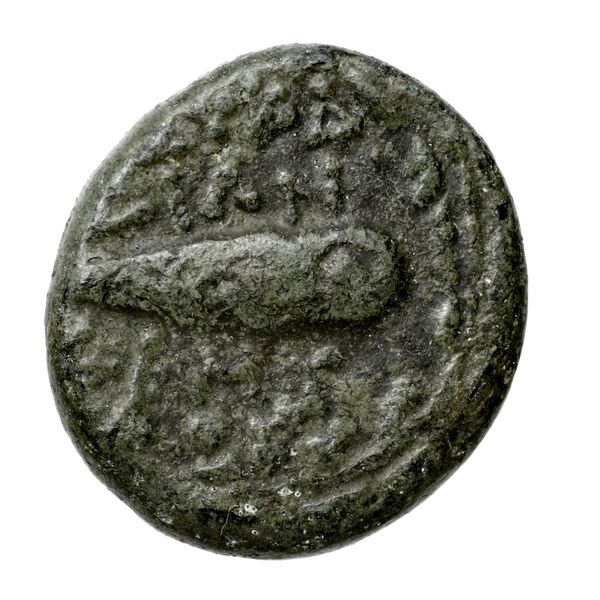 Leucas BMC Leucas 127-49, 152-170, реверс, bnf-iris