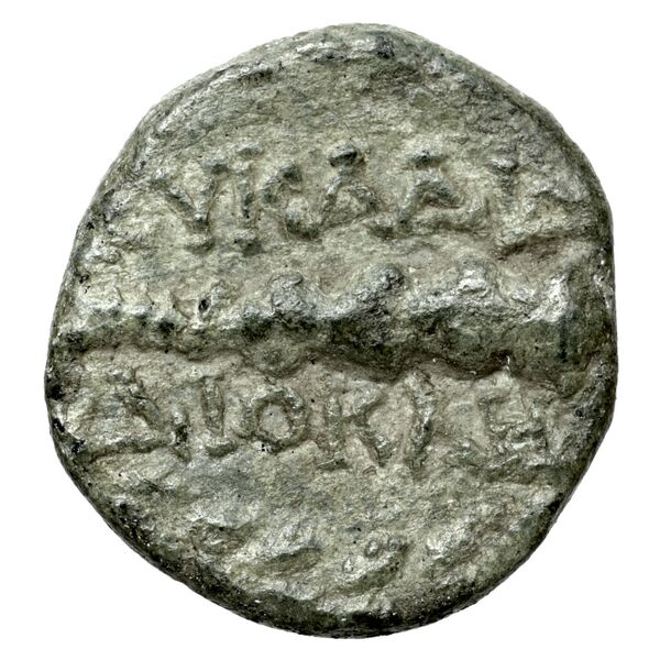 Leucas BMC Leucas 127-49, 152-170, реверс, bnf-iris