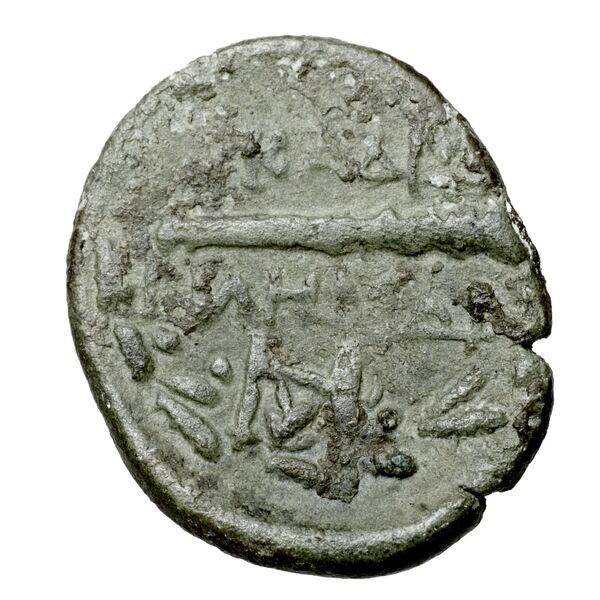 Leucas BMC Leucas 127-49, 152-170, реверс, bnf-iris