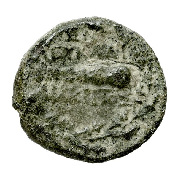 Leucas BMC Leucas 127-49, 152-170, реверс, bnf-iris