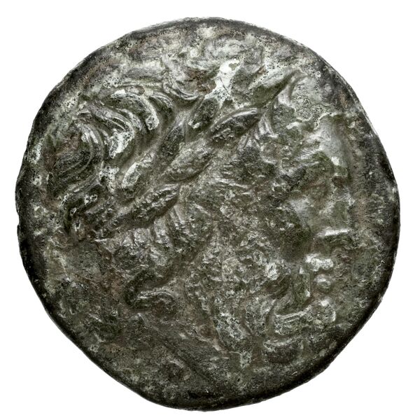 Oeniadae BMC Oeniadae 6-14, аверс, bnf-iris
