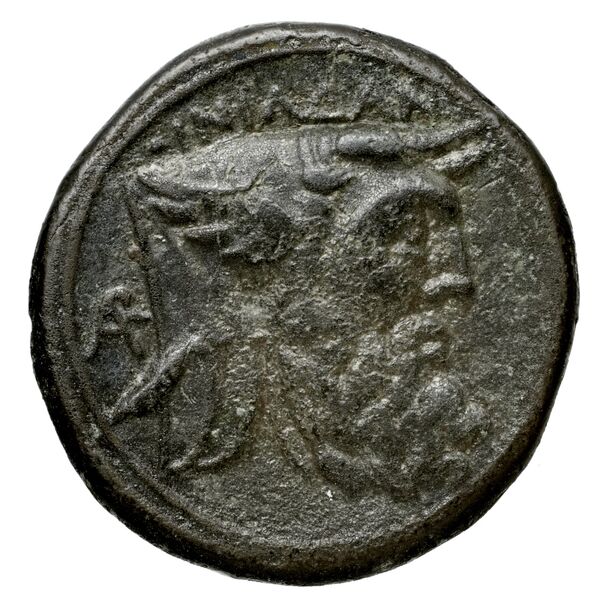 Oeniadae BMC Oeniadae 6-14, реверс, bnf-iris