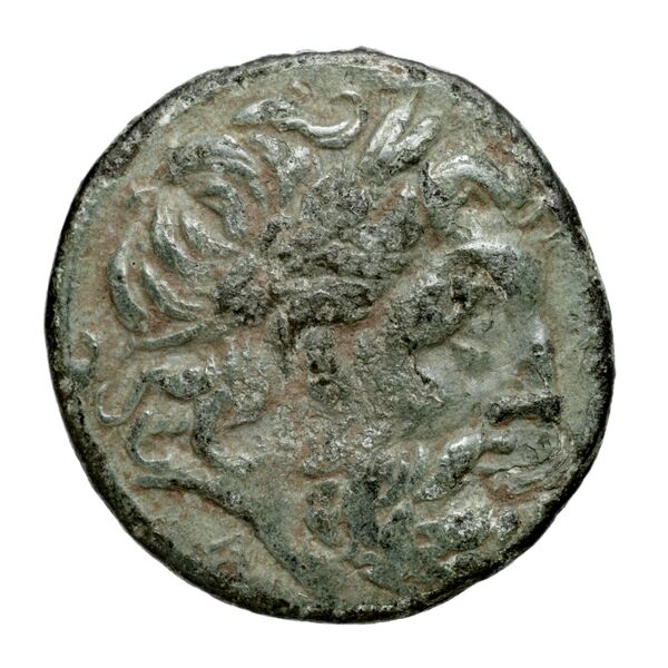 Oeniadae BMC Oeniadae 6-14, аверс, bnf-iris