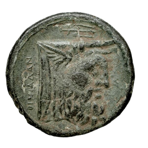 Oeniadae BMC Oeniadae 6-14, реверс, bnf-iris