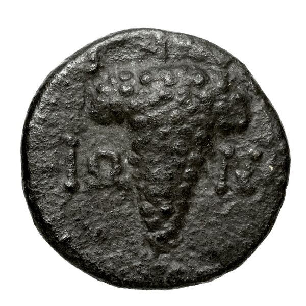 Teos Kinns 1980 Period III, AE 13, реверс, bnf-iris