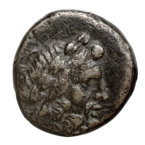 Apollonia Mordiaeum von Aulock 1979 1-7, аверс, bnf-iris