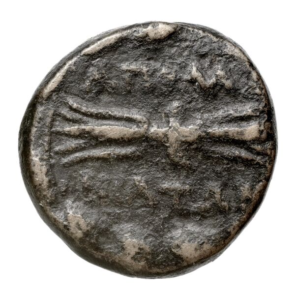 Apollonia Mordiaeum von Aulock 1979 1-7, реверс, bnf-iris