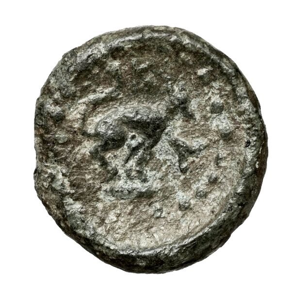 Cydonia Svoronos 1890 (1972) 48-55, реверс, bnf-iris