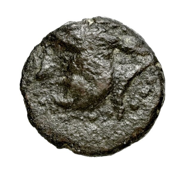 Hierapytna Stefanaki 2020 3e série ; groupes III-V ; émissions 9-11, 13, 15 (catalogue n° 22-51, 53-78, 83-128), аверс, bnf-iris