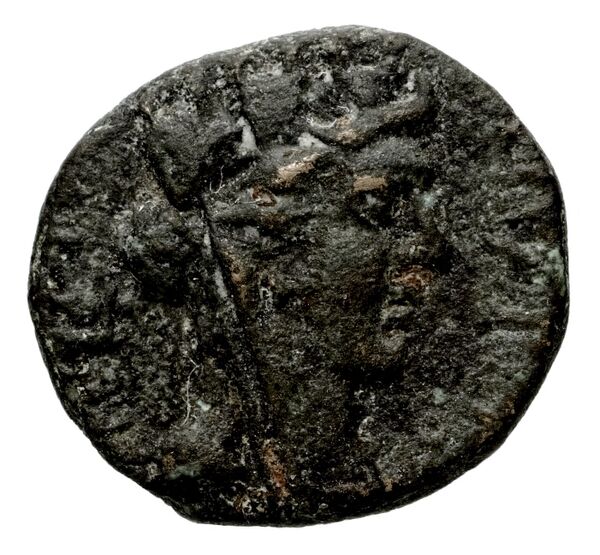 Laodicea ad Mare BMC Laodiceia ad Mare 1-3, аверс, bnf-iris