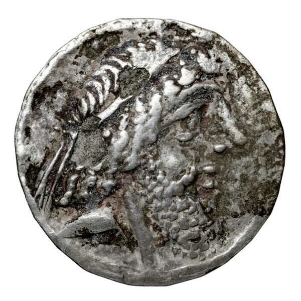 Tiraeus II of Characene Charax Spasinou BMC Characene pl. 43, 2, аверс, bnf-iris