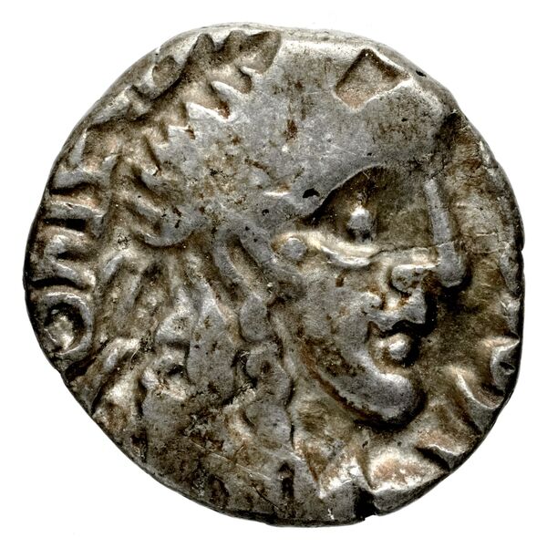 Rabel II Soter of Nabataea Petra Barkay 2019 222, 226-34, аверс, bnf-iris