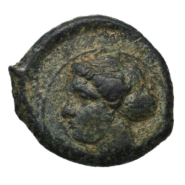 Syracuse Puglisi 2009 295, аверс, bnf-iris
