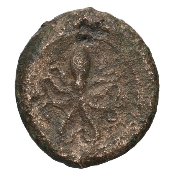 Syracuse Puglisi 2009 295, реверс, bnf-iris