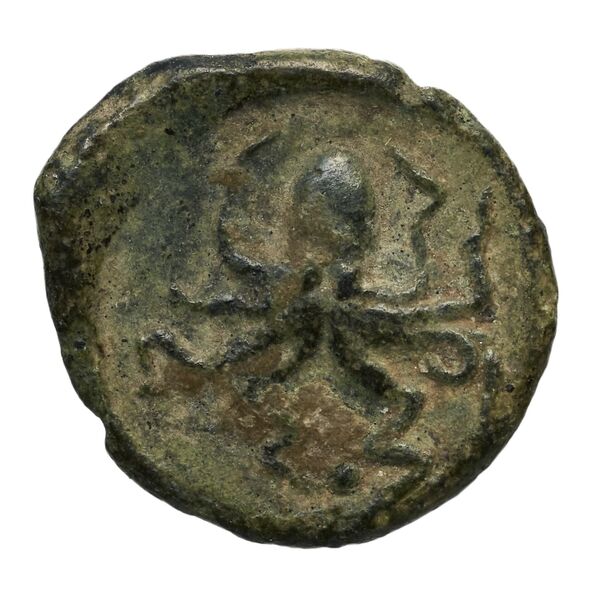 Syracuse Puglisi 2009 295, реверс, bnf-iris