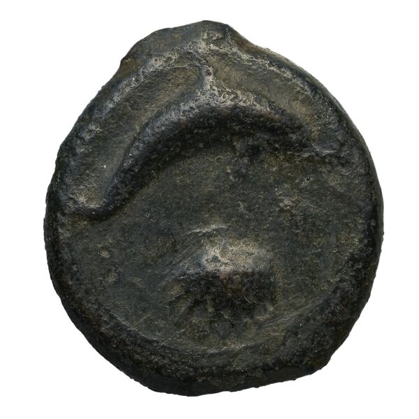 Syracuse Puglisi 2009 300, реверс, bnf-iris