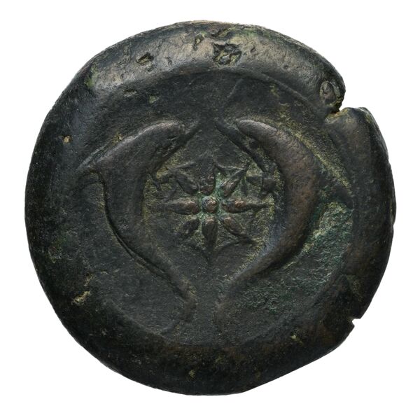 Syracuse Puglisi 2009 302, реверс, bnf-iris
