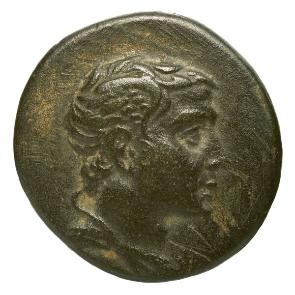 Amas(e)ia Waddington 1925 4, аверс, bnf-iris