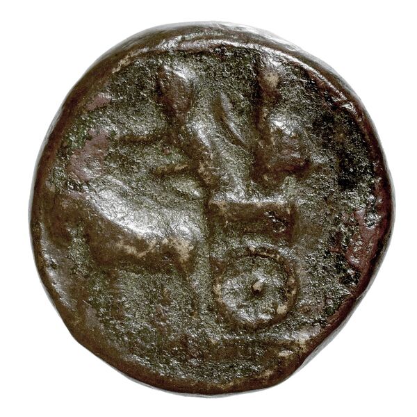 Sidon Elayi 2004 IV.7.6, реверс, bnf-iris