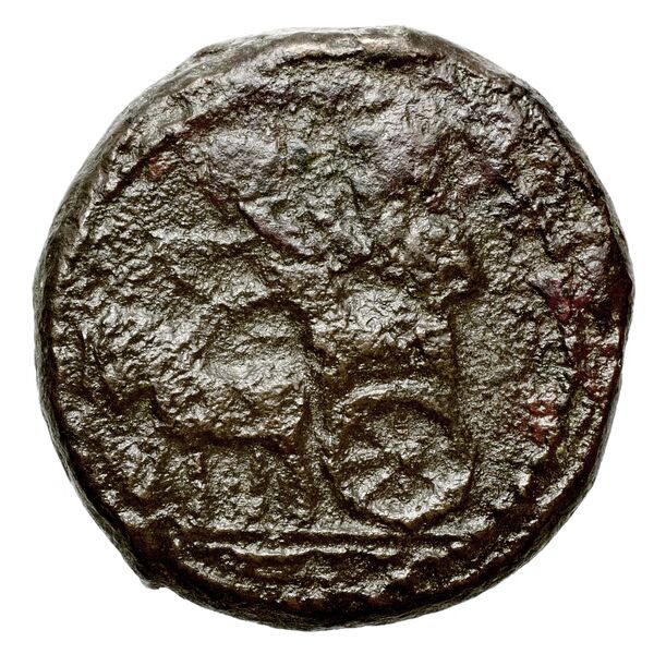 Sidon Elayi 2004 IV.7.6, реверс, bnf-iris
