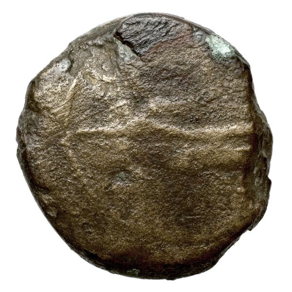 Sidon Elayi 2004 IV.7.6, аверс, bnf-iris