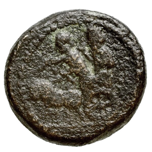 Sidon Elayi 2004 IV.7.6, реверс, bnf-iris