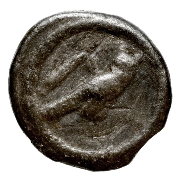 Tyre Elayi 2009 II.1.1.2, реверс, bnf-iris