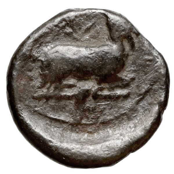 Euagoras I Salamis Markou 2011 193-194, реверс, bnf-iris
