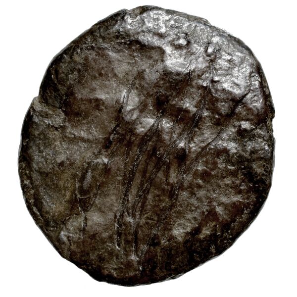 Baalmelek II of Citium Citium BMC Citium 29-48, аверс, bnf-iris