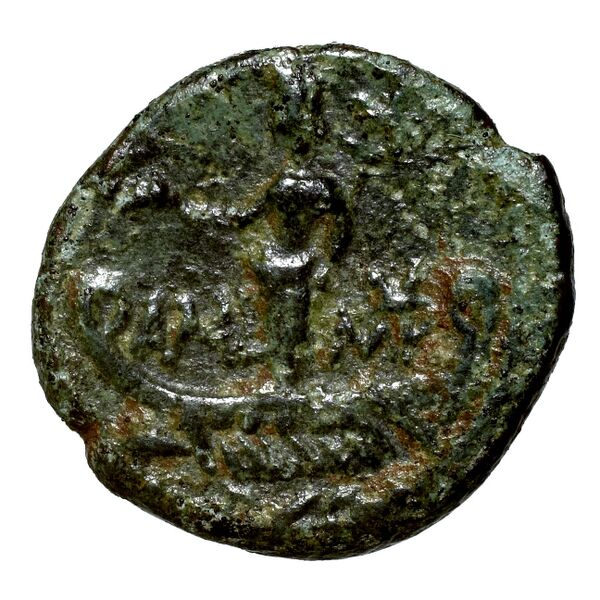 coin rev