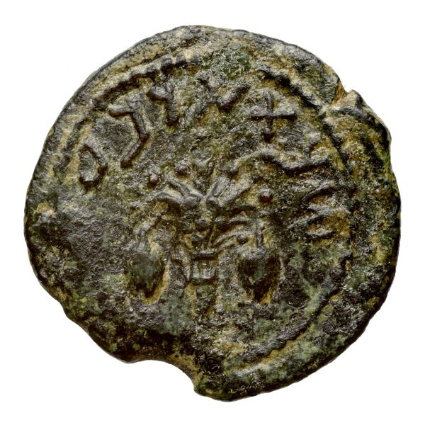 Simon Maccabaeus Judaea Hendin 2010 1369, аверс, bnf-iris