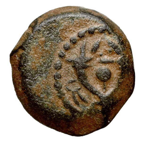 Alexander Jannaeus Jerusalem Hendin 2010 1144-1146, реверс, bnf-iris