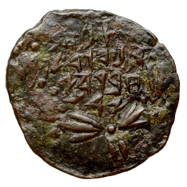 Alexander Jannaeus Jerusalem Hendin 2010 1144-1146, аверс, bnf-iris