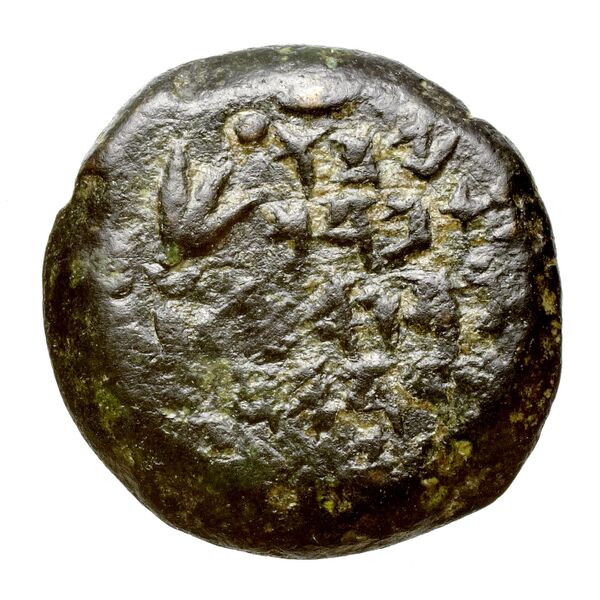 Alexander Jannaeus Jerusalem Hendin 2010 1144-1146, аверс, bnf-iris