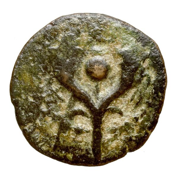 Alexander Jannaeus Jerusalem Hendin 2010 1144-1146, реверс, bnf-iris