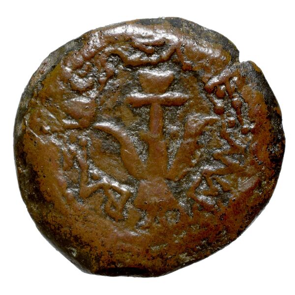 Alexander Jannaeus Jerusalem Hendin 2010 1150-1154, аверс, bnf-iris