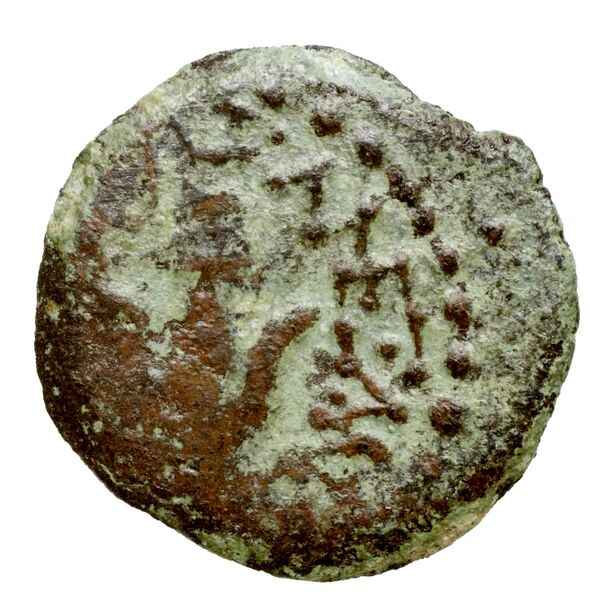 Alexander Jannaeus Jerusalem Hendin 2010 1150-1154, аверс, bnf-iris