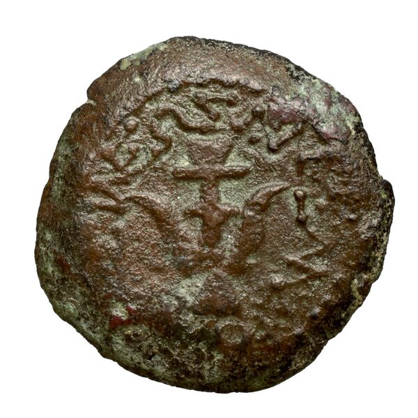 Alexander Jannaeus Jerusalem Hendin 2010 1150-1154, аверс, bnf-iris