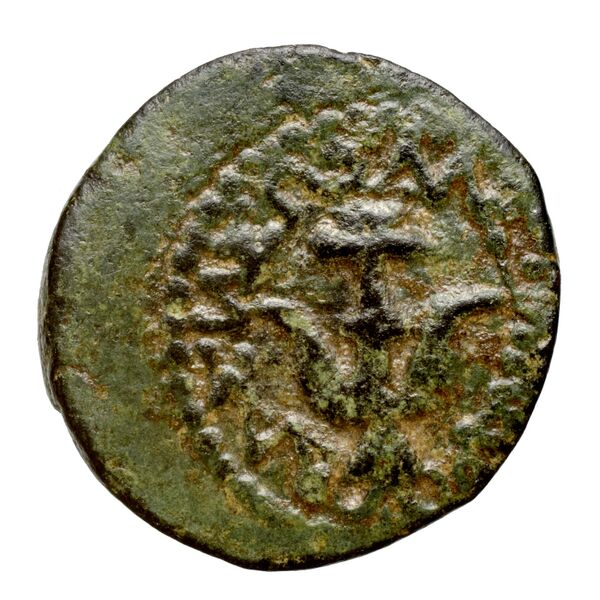 Alexander Jannaeus Jerusalem Hendin 2010 1150-1154, аверс, bnf-iris