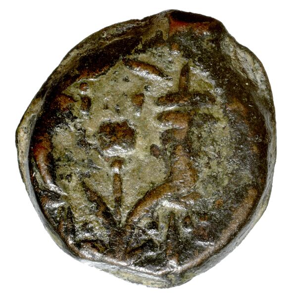 Alexander Jannaeus Jerusalem Hendin 2010 1144-1146, аверс, bnf-iris