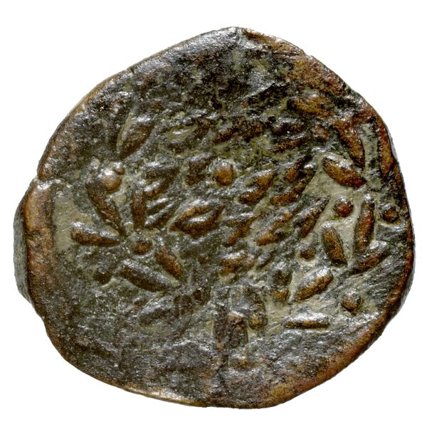 Alexander Jannaeus Jerusalem Hendin 2010 1144-1146, реверс, bnf-iris