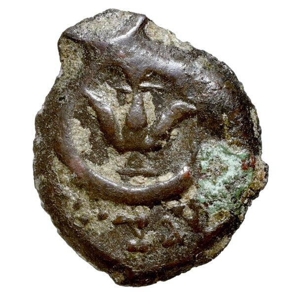 Alexander Jannaeus Jerusalem Hendin 2010 1150-1154, аверс, bnf-iris