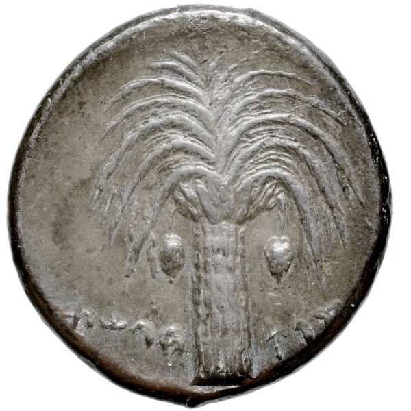 Carthaginian Empire Carthage Jenkins 1974 Carthage series 1, 1-37, реверс, bnf-iris