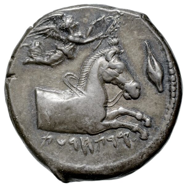 Carthaginian Empire Carthage Jenkins 1974 Carthage series 1, 1-37, аверс, bnf-iris