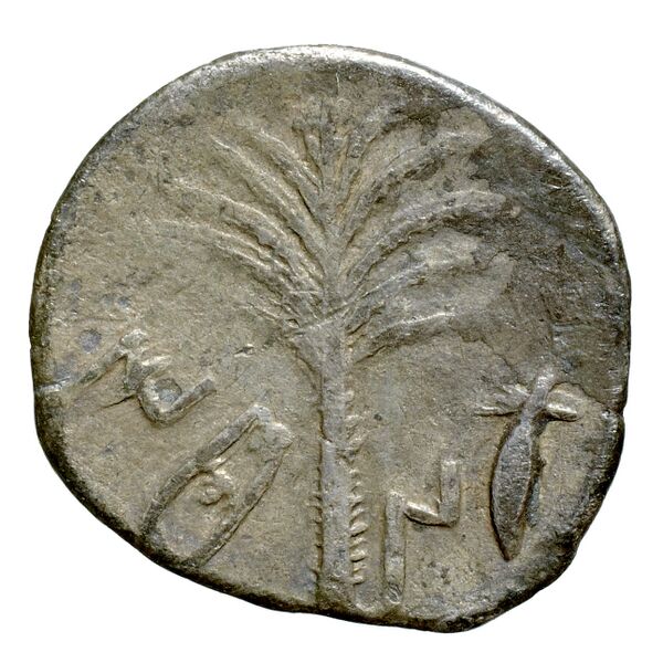 Motya Campana 1999 group VI serie I 15, реверс, bnf-iris